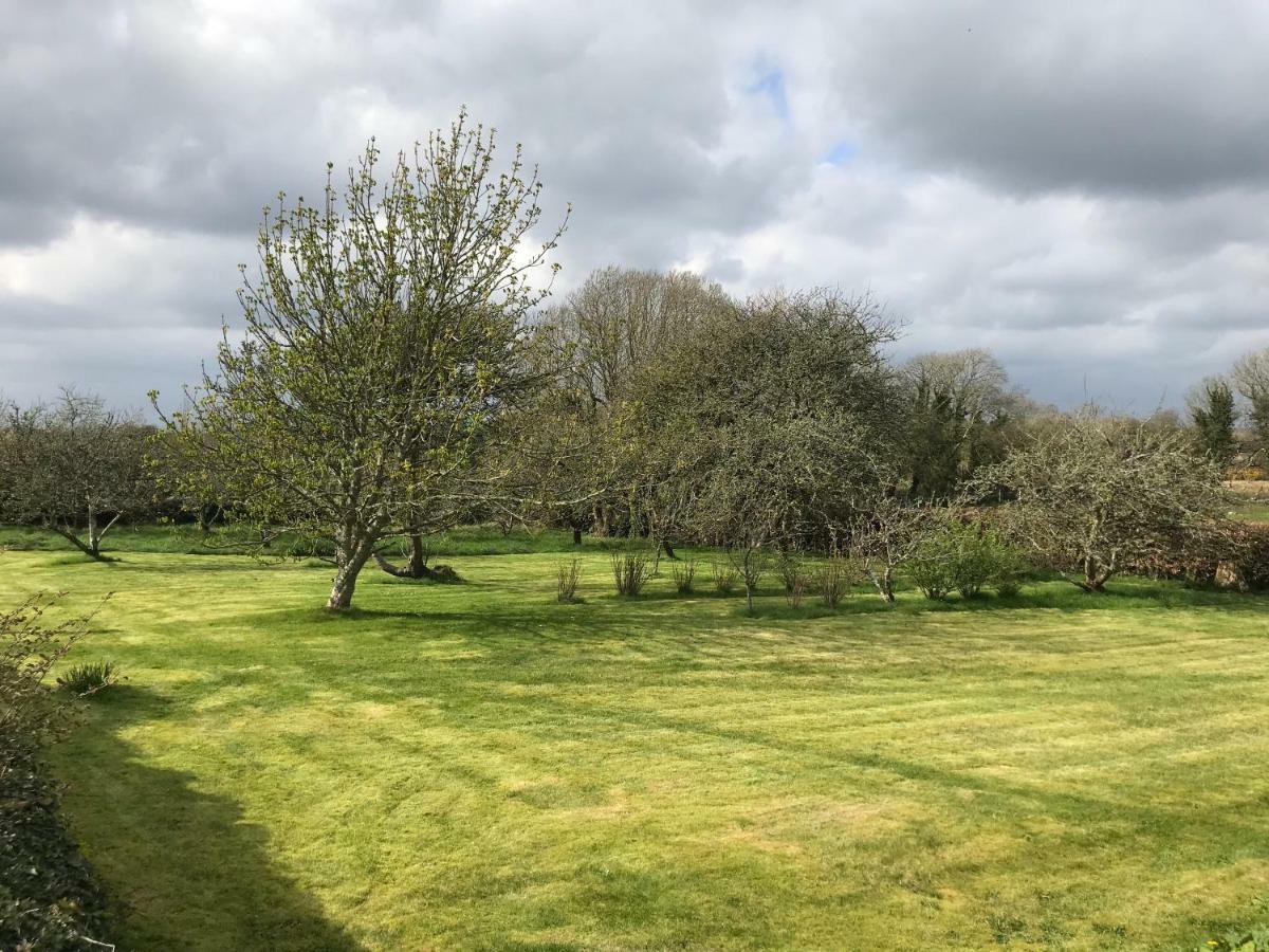 Corrib View Farmhouse Galway Exteriör bild