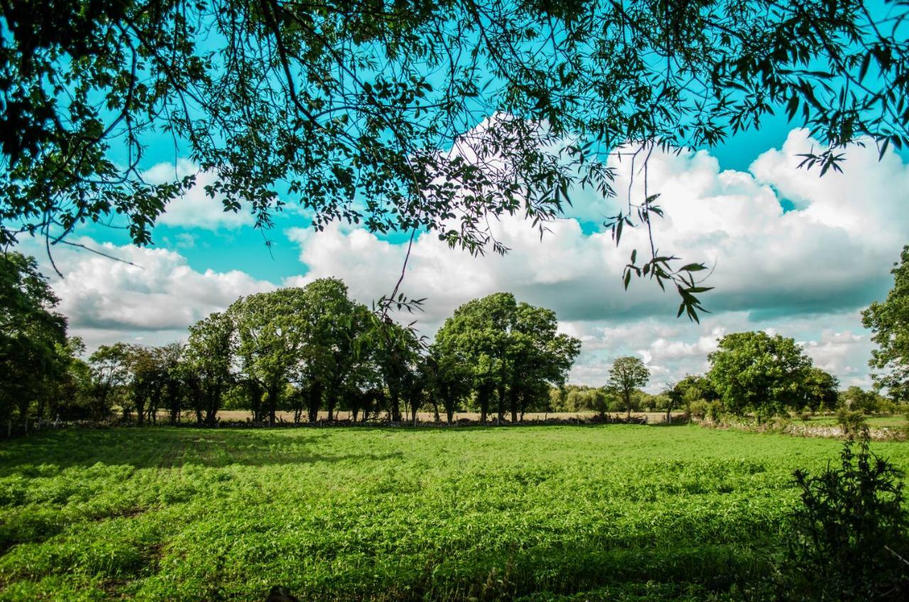Corrib View Farmhouse Galway Exteriör bild